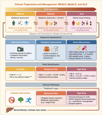 Steatotic liver disease diagnosis requires longitudinal reassessment